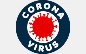 Situation Coronavirus 20200313